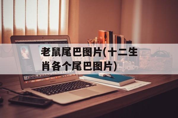 老鼠尾巴图片(十二生肖各个尾巴图片)-第1张图片-