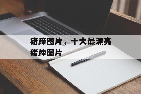 猪蹄图片，十大最漂亮猪蹄图片-第1张图片-