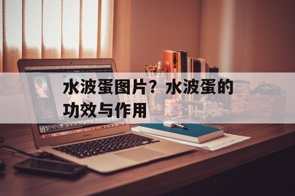 水波蛋图片？水波蛋的功效与作用-第1张图片-