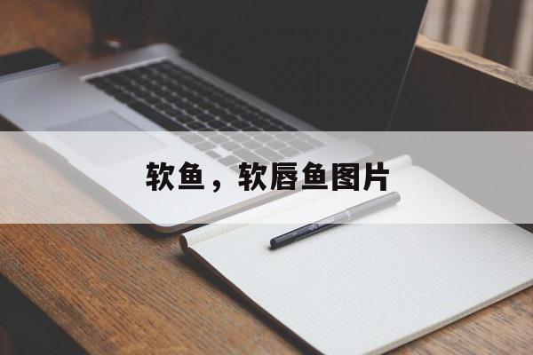 软鱼，软唇鱼图片-第1张图片-