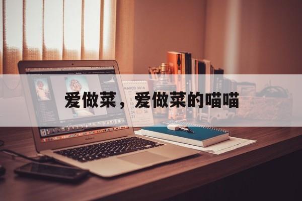 爱做菜，爱做菜的喵喵-第1张图片-