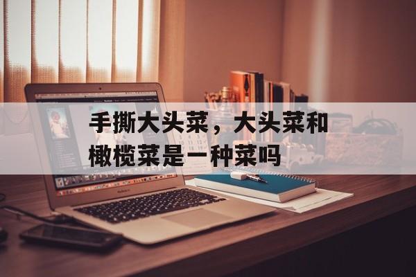 手撕大头菜，大头菜和橄榄菜是一种菜吗-第1张图片-