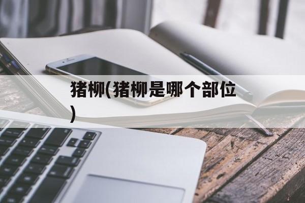 猪柳(猪柳是哪个部位)-第1张图片-
