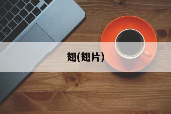 翅(翅片)-第1张图片-