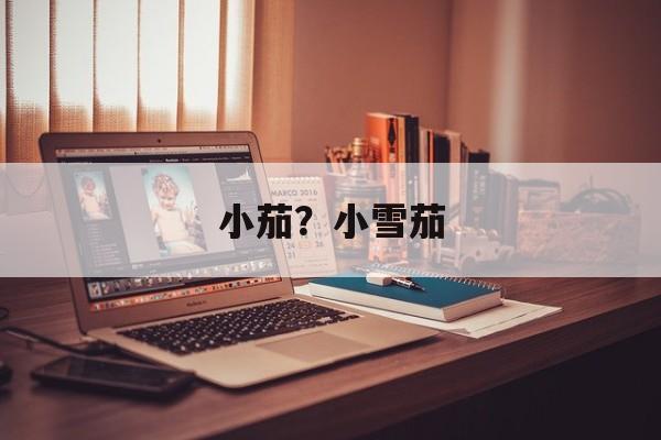 小茄？小雪茄-第1张图片-