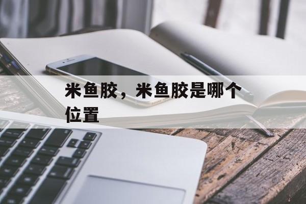 米鱼胶，米鱼胶是哪个位置-第1张图片-