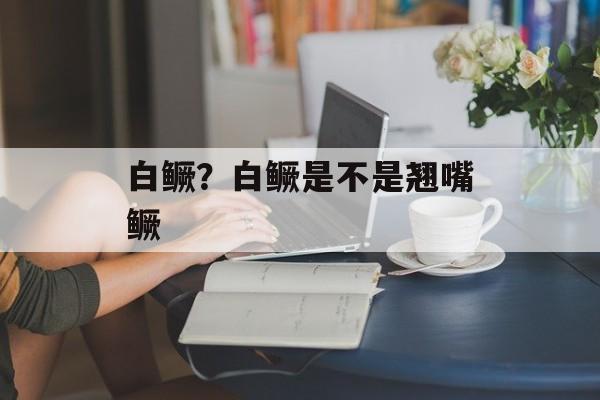 白鳜？白鳜是不是翘嘴鳜-第1张图片-