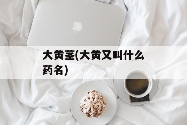 大黄茎(大黄又叫什么药名)-第1张图片-