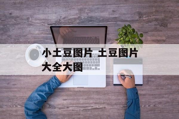 小土豆图片 土豆图片大全大图-第1张图片-