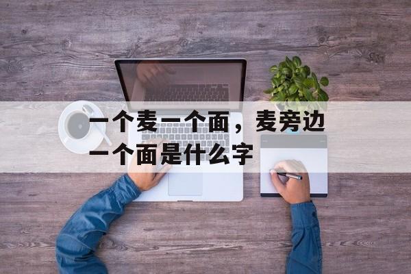 一个麦一个面，麦旁边一个面是什么字-第1张图片-