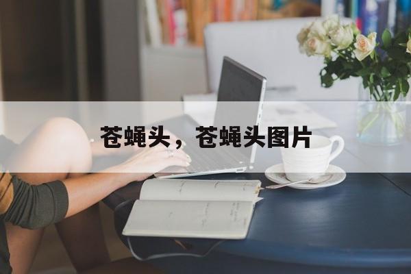 苍蝇头，苍蝇头图片-第1张图片-