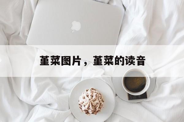 堇菜图片，堇菜的读音-第1张图片-
