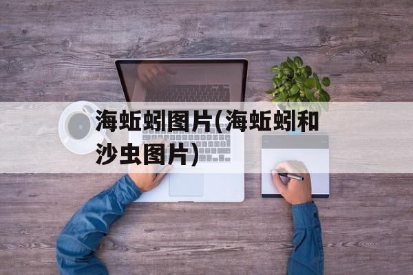 海蚯蚓图片(海蚯蚓和沙虫图片)-第1张图片-