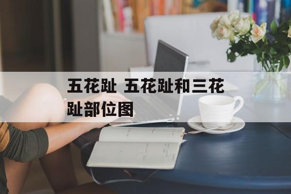 五花趾 五花趾和三花趾部位图-第1张图片-