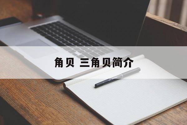 角贝 三角贝简介-第1张图片-