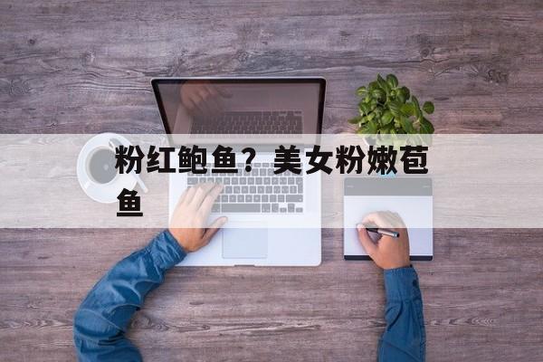 粉红鲍鱼？美女粉嫩苞鱼-第1张图片-