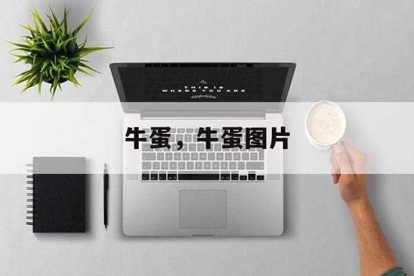 牛蛋，牛蛋图片-第1张图片-