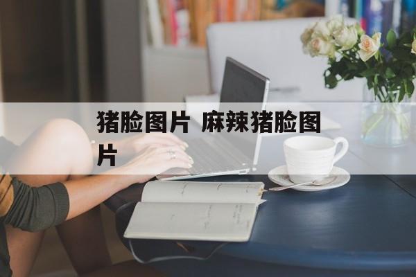 猪脸图片 麻辣猪脸图片-第1张图片-