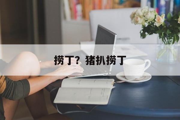 捞丁？猪扒捞丁-第1张图片-