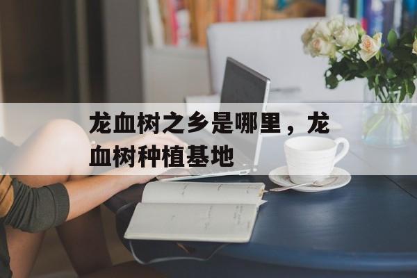龙血树之乡是哪里，龙血树种植基地-第1张图片-