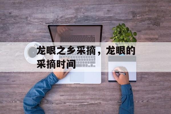 龙眼之乡采摘，龙眼的采摘时间-第1张图片-