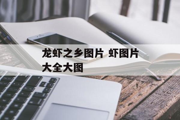 龙虾之乡图片 虾图片大全大图-第1张图片-