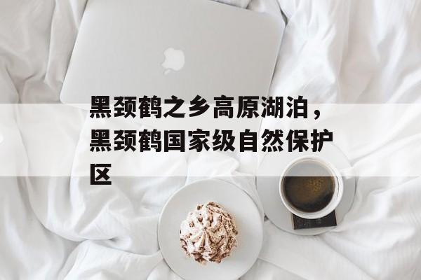 黑颈鹤之乡高原湖泊，黑颈鹤国家级自然保护区-第1张图片-