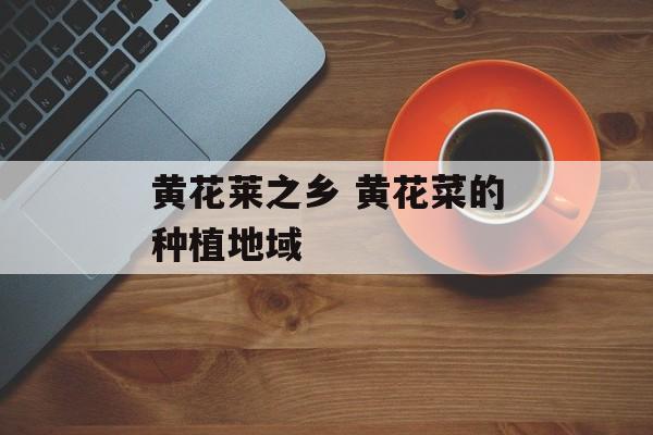 黄花莱之乡 黄花菜的种植地域-第1张图片-