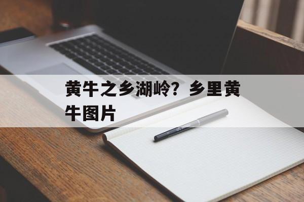 黄牛之乡湖岭？乡里黄牛图片-第1张图片-