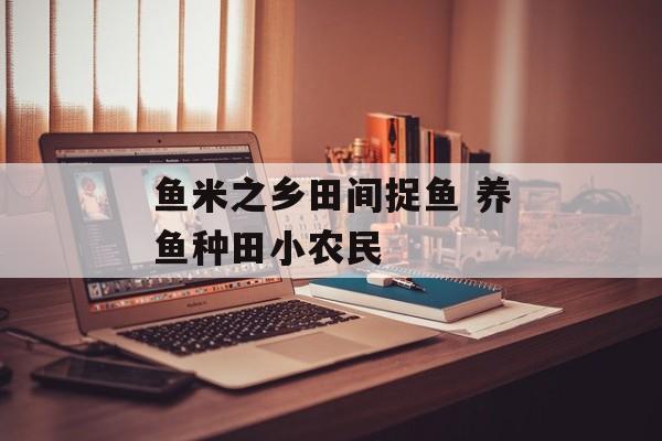 鱼米之乡田间捉鱼 养鱼种田小农民-第1张图片-