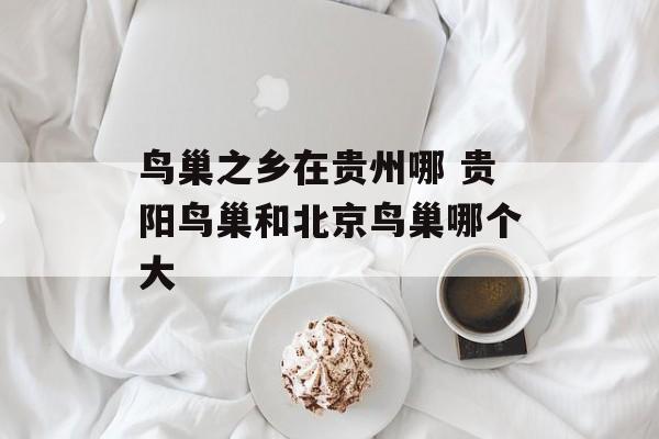 鸟巢之乡在贵州哪 贵阳鸟巢和北京鸟巢哪个大-第1张图片-