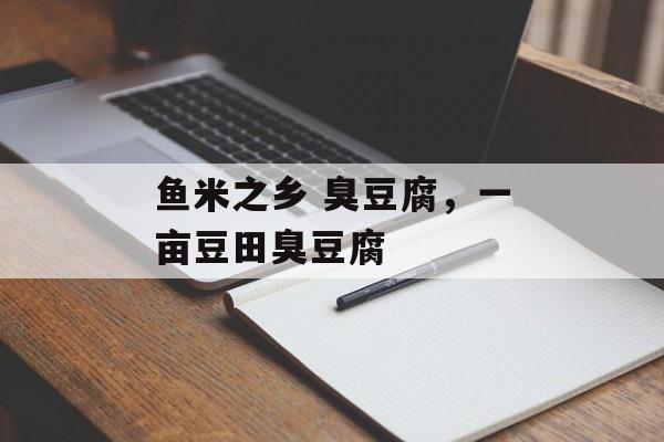 鱼米之乡 臭豆腐，一亩豆田臭豆腐-第1张图片-