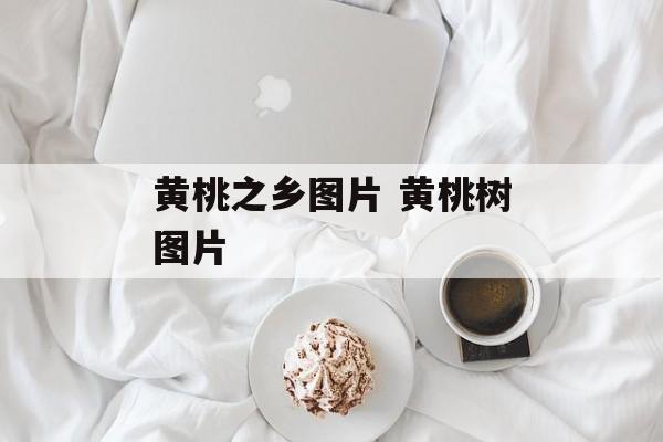 黄桃之乡图片 黄桃树图片-第1张图片-