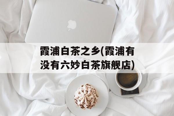 霞浦白茶之乡(霞浦有没有六妙白茶旗舰店)-第1张图片-