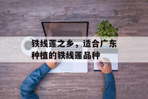 铁线莲之乡，适合广东种植的铁线莲品种-第1张图片-