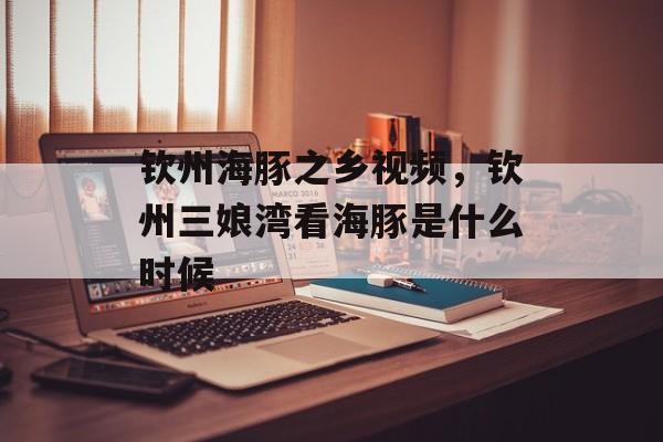 钦州海豚之乡视频，钦州三娘湾看海豚是什么时候-第1张图片-