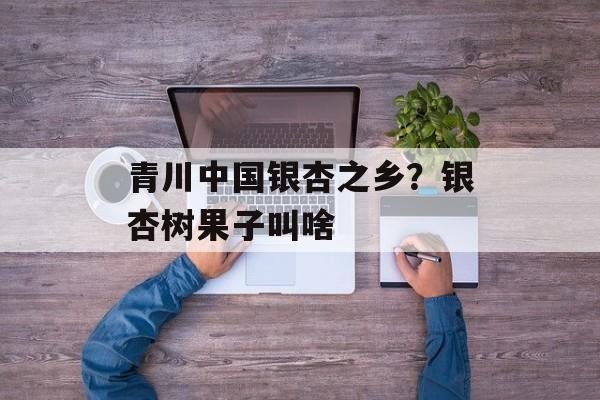 青川中国银杏之乡？银杏树果子叫啥-第1张图片-