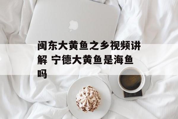 闽东大黄鱼之乡视频讲解 宁德大黄鱼是海鱼吗-第1张图片-