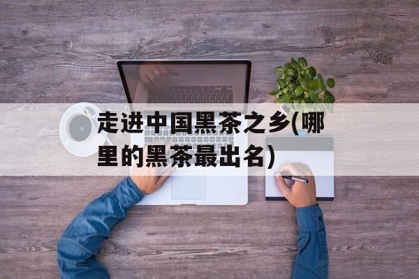 走进中国黑茶之乡(哪里的黑茶最出名)-第1张图片-