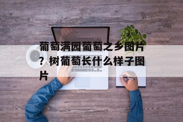 葡萄满园葡萄之乡图片？树葡萄长什么样子图片-第1张图片-