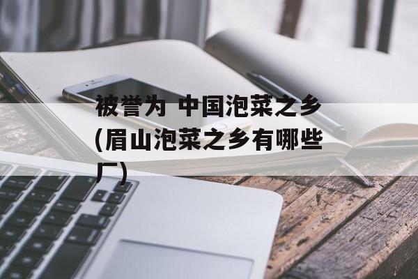 被誉为 中国泡菜之乡(眉山泡菜之乡有哪些厂)-第1张图片-