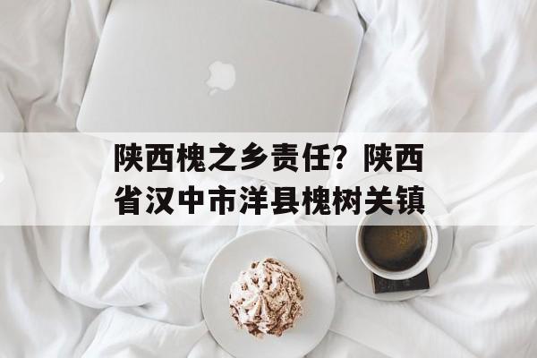 陕西槐之乡责任？陕西省汉中市洋县槐树关镇-第1张图片-