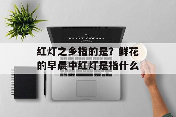 红灯之乡指的是？鲜花的早晨中红灯是指什么-第1张图片-