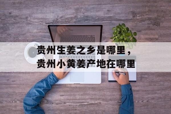 贵州生姜之乡是哪里，贵州小黄姜产地在哪里-第1张图片-