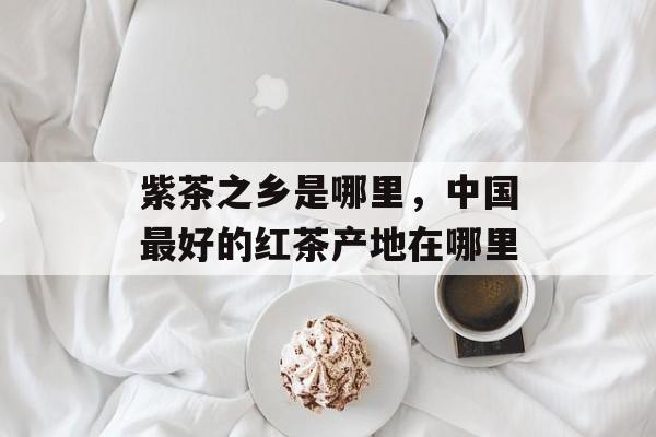 紫茶之乡是哪里，中国最好的红茶产地在哪里-第1张图片-