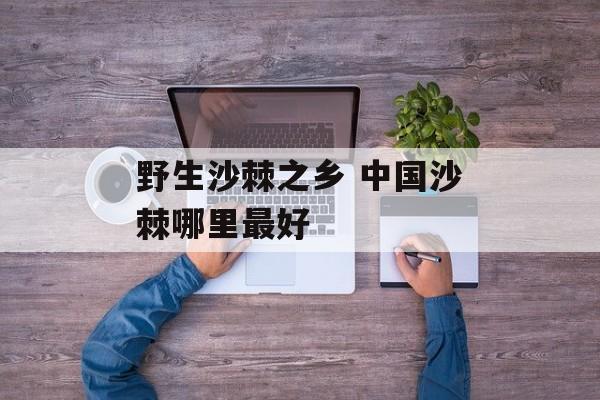 野生沙棘之乡 中国沙棘哪里最好-第1张图片-