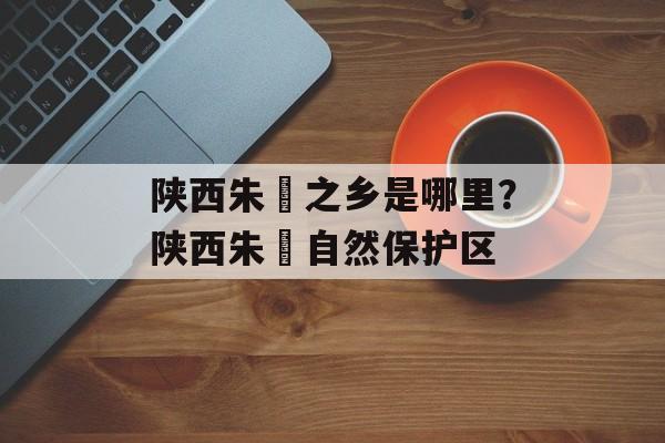 陕西朱鹮之乡是哪里？陕西朱鹮自然保护区-第1张图片-