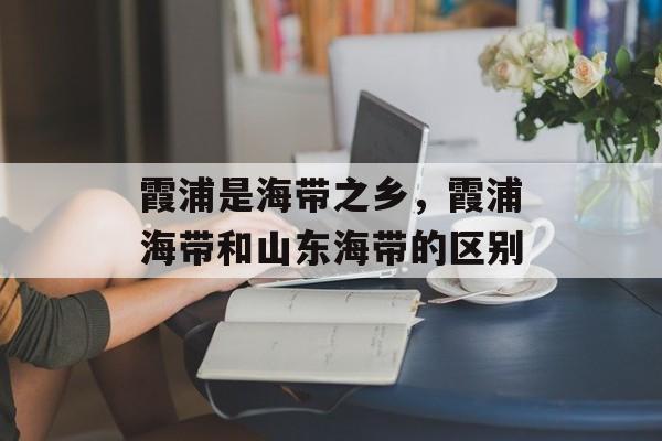 霞浦是海带之乡，霞浦海带和山东海带的区别-第1张图片-