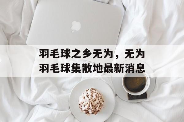 羽毛球之乡无为，无为羽毛球集散地最新消息-第1张图片-