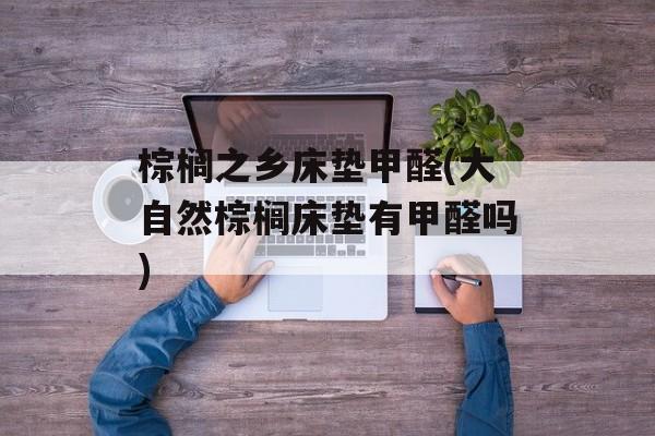 棕榈之乡床垫甲醛(大自然棕榈床垫有甲醛吗)-第1张图片-